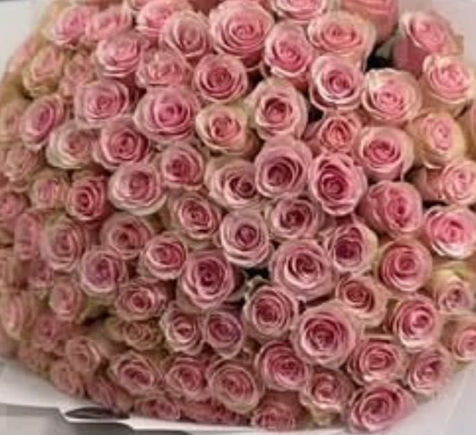 Продам свежий букет роз из 25 штук