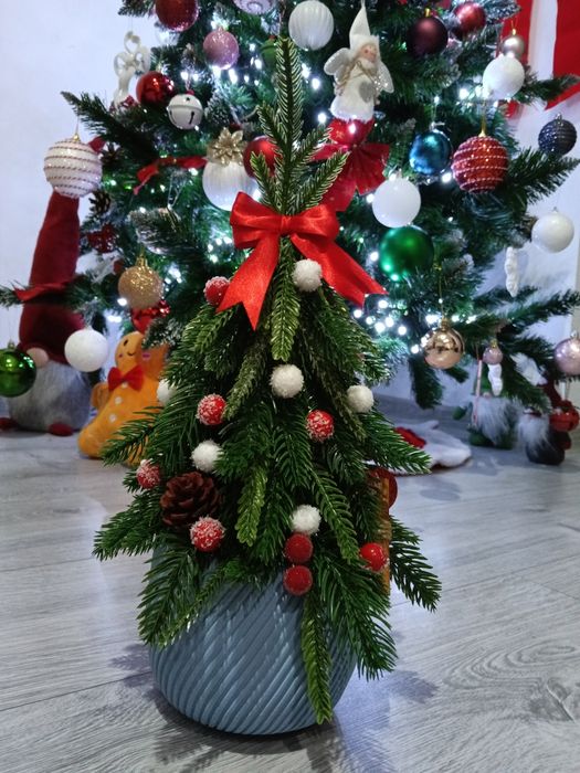 Decorațiuni Craciun