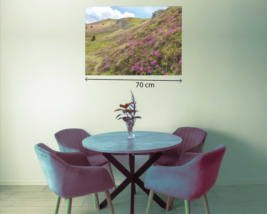 Print & Editare Fotografii în tablouri canvas