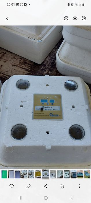 Инкубатор для яиц