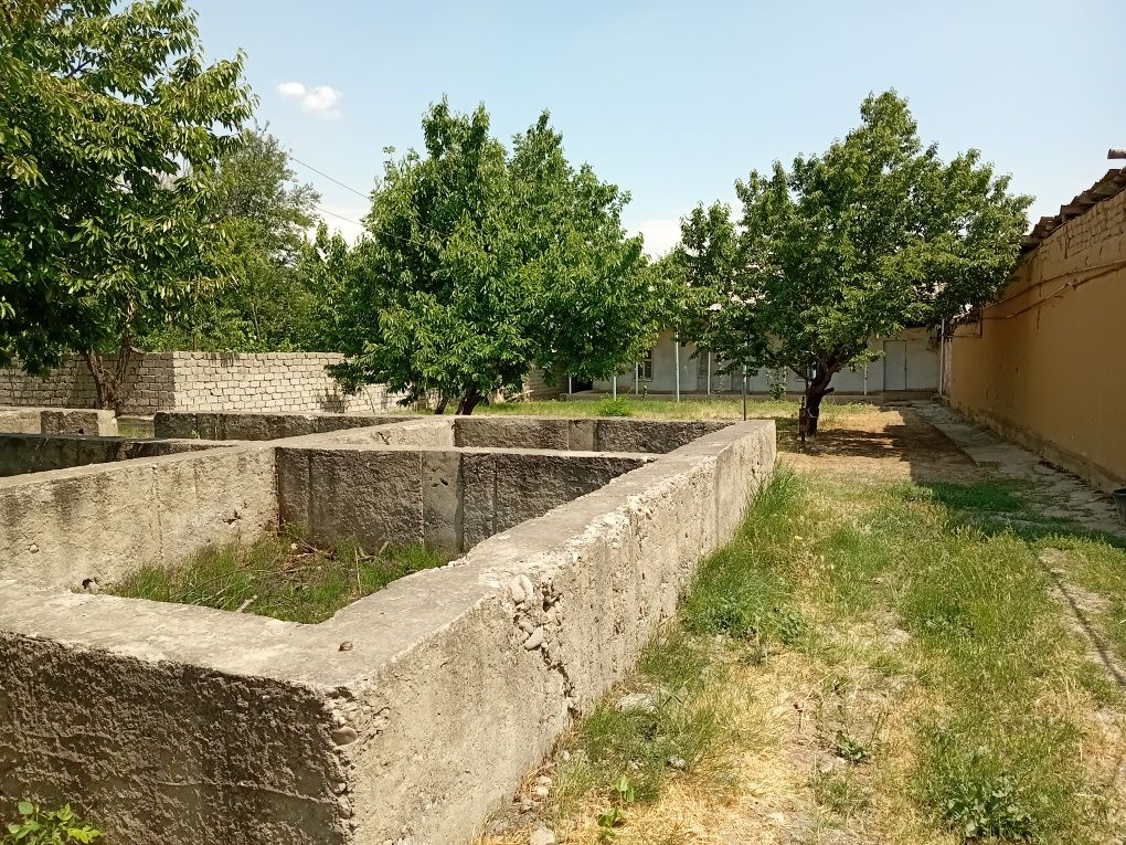 Tashkent violation qibray tumani uymovut mahallasi