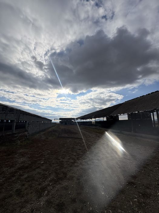 Pretabil Afacere Jumatate de Hectar cu 4 constructii