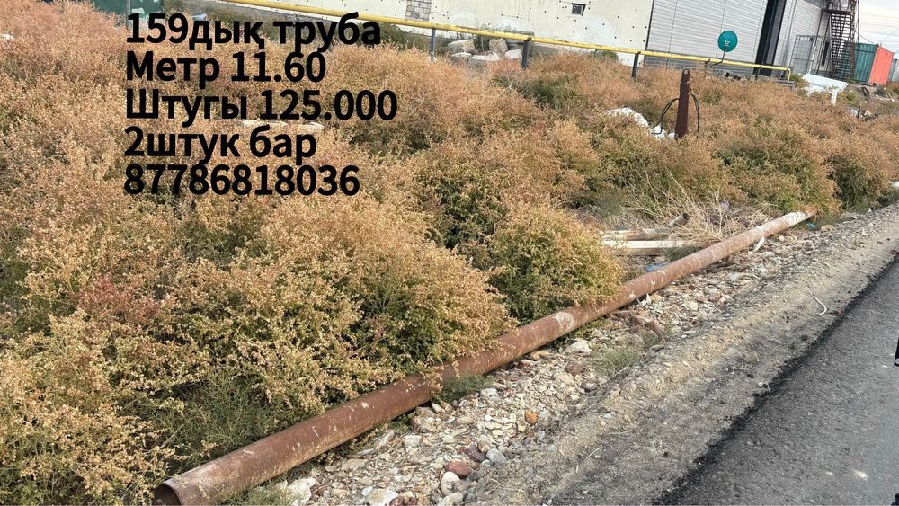 159дық труба 11.60