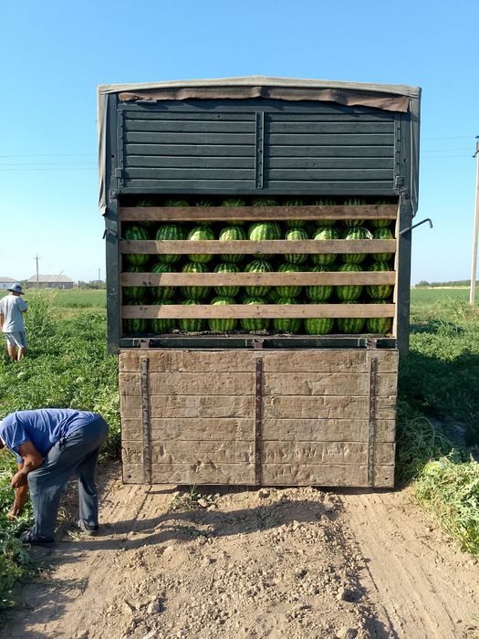 ЗИЛ длинамир 80 милон Самарканд каттакургон биз камир хаммаси айби йук