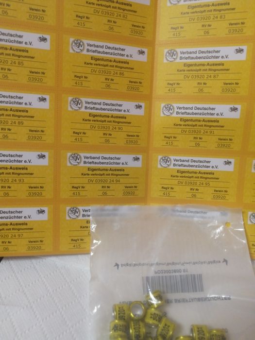 Vînd inele porumbei