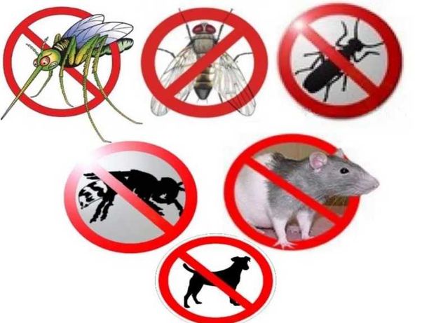 Дезинфекция уничтожение вредителей клопов мышей тараканов | ДЁШЕВО