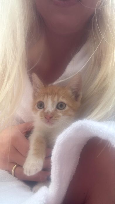 5 suflete mici cauta o casa mare plina de iubire