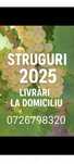 Struguri de vin ce-a mai buna calitate   la preț avantajos