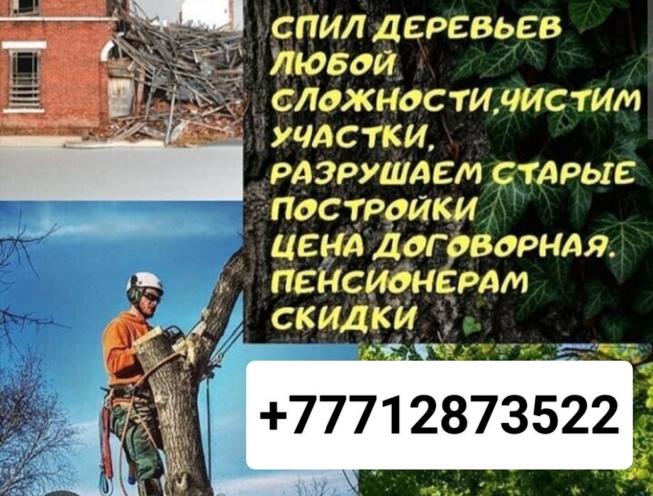 Спилка деревьев.