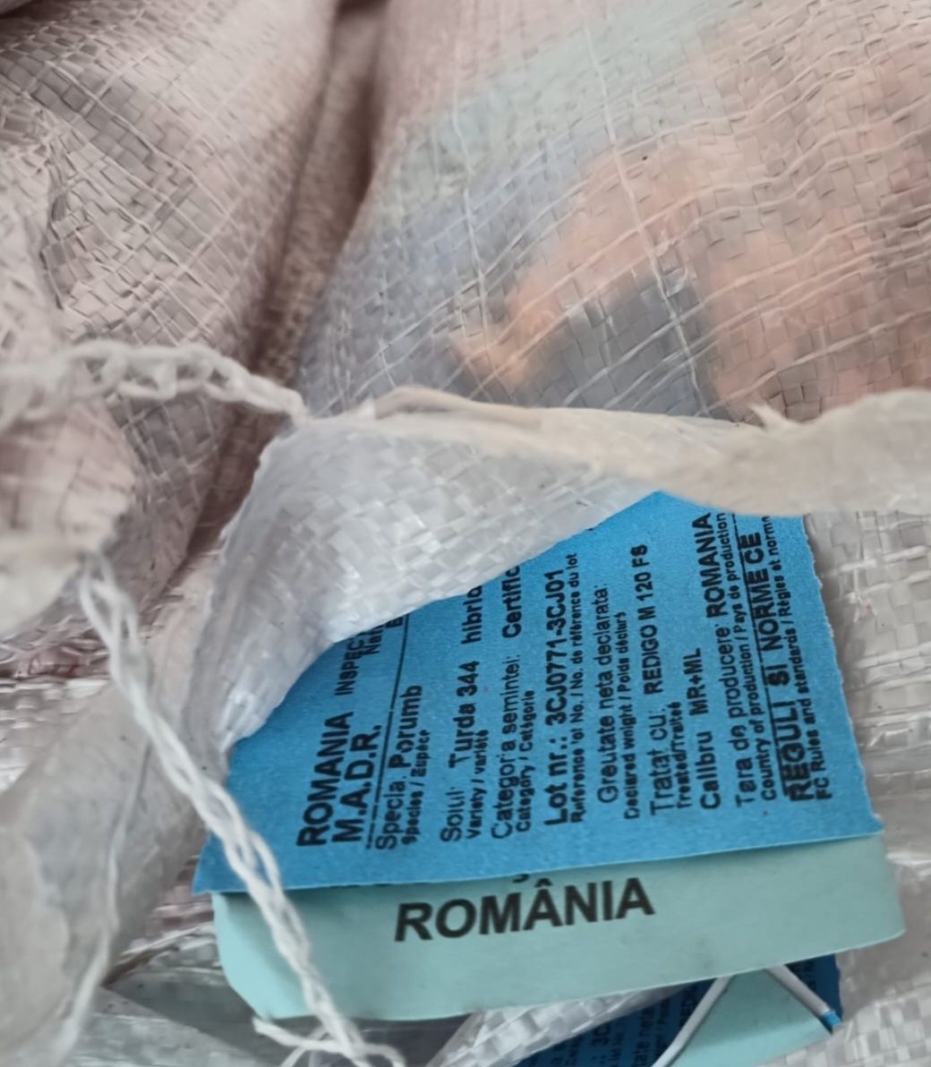 Samanta Porumb Certificat timpuriu de 90 zile Turda 200