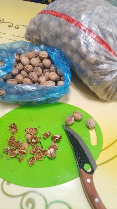 Продам грец орех свежий