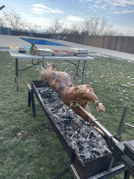Vand rotisor bbq 60 kg , porc , pui , berbec