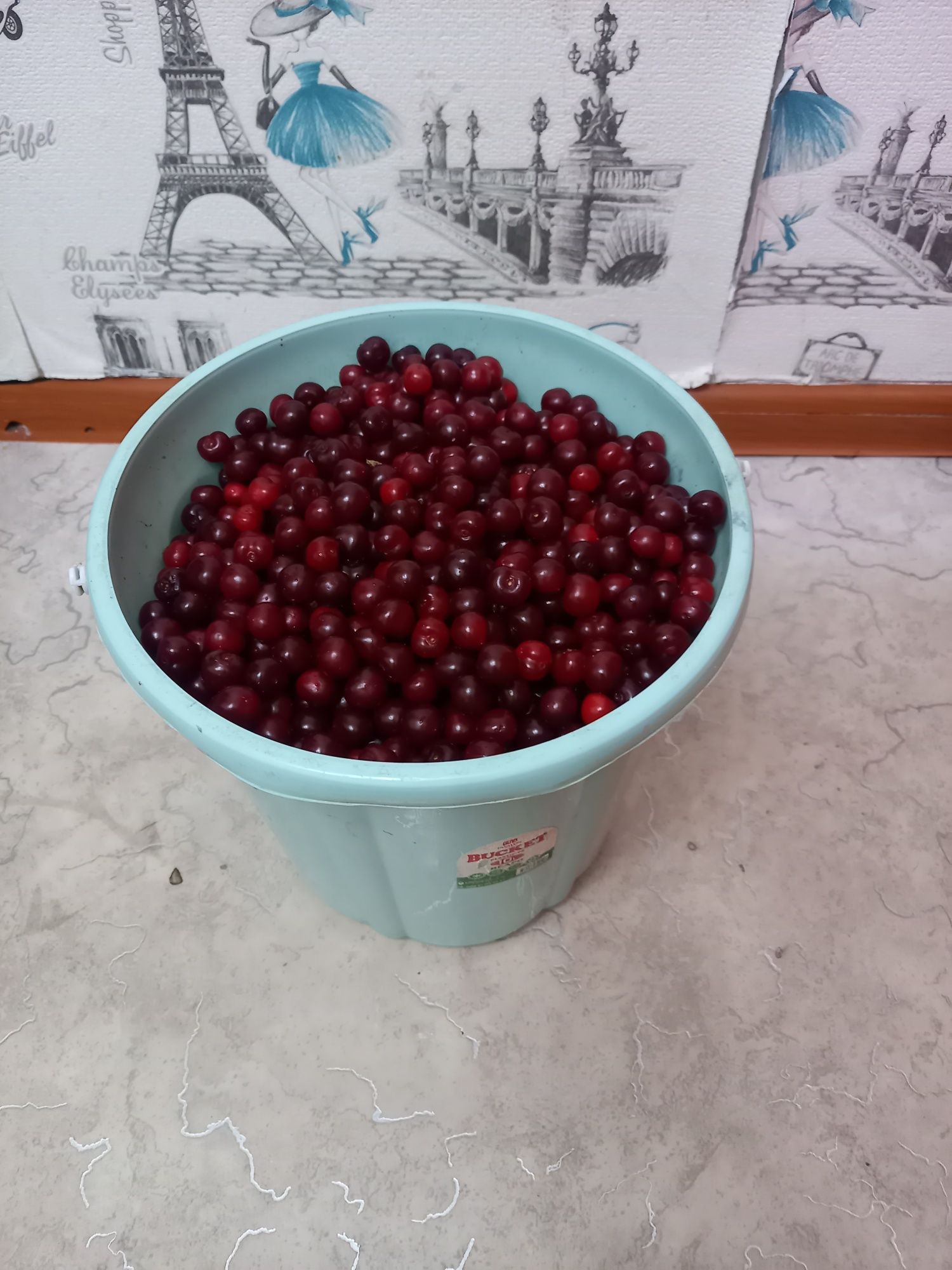 Продам вишню 10литров