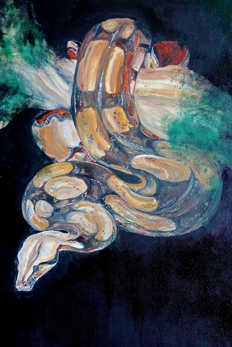 Картина Сытый питон