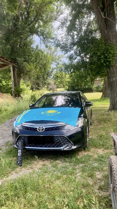 Флаг Казахстана 90/150