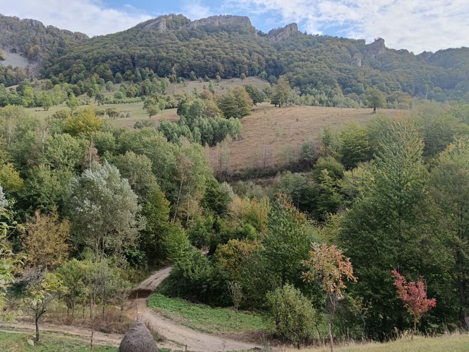 Teren Muntii Cernei,Cornereva,Dobraia