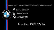 Diagnoze, Retrofit, Codari, Update Harti, Chip Tunning - Buzau
