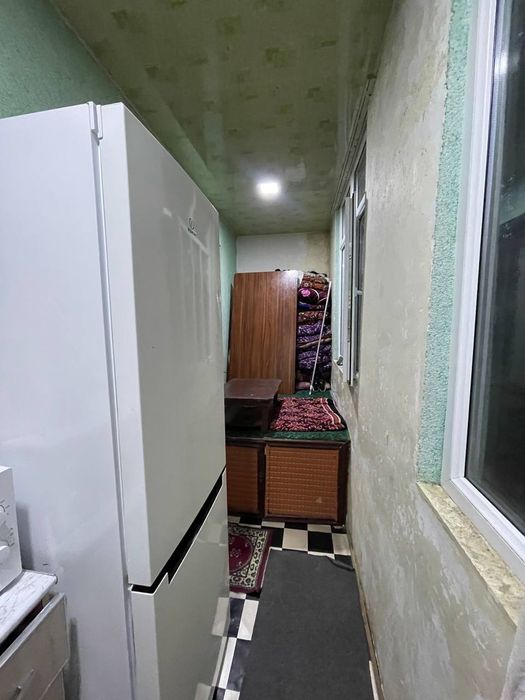Ijaraga sheriklikka 5 6 ta talaba qizlarga