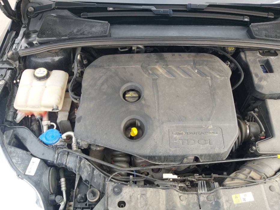 Ford Focus 1.6tdci 2013г. на части !!!