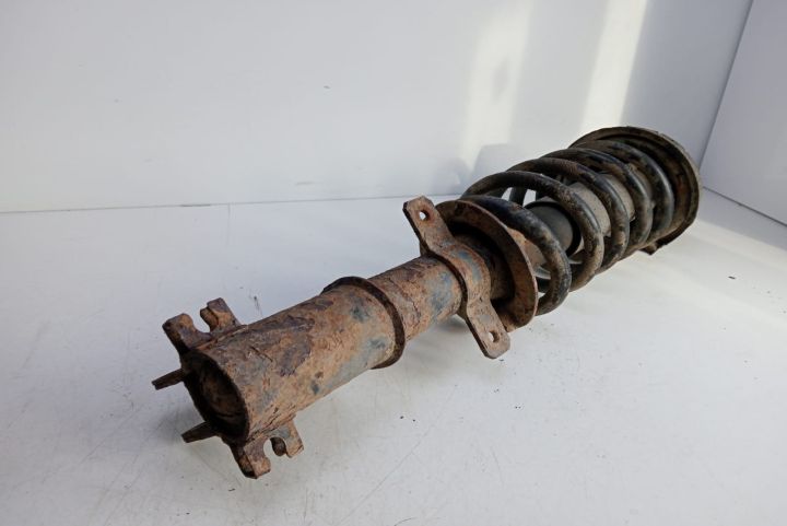 Ansamblu arc +amortizor fata stanga/dreapta Opel Vivaro A (facelift)