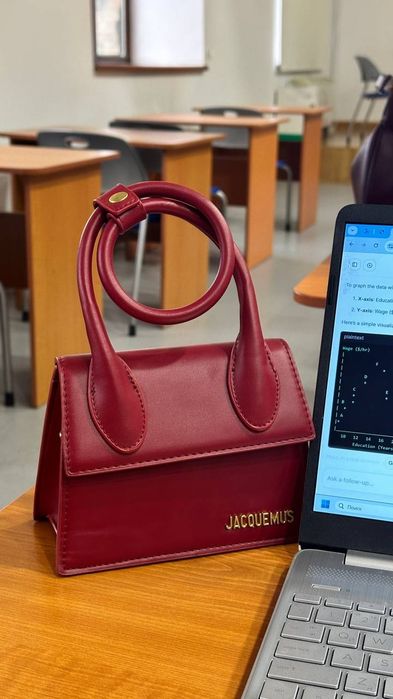 Красная сумках Jacquemus