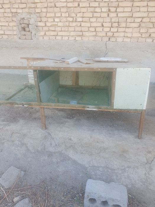 Jo'ja tovuq quyon uchun katak