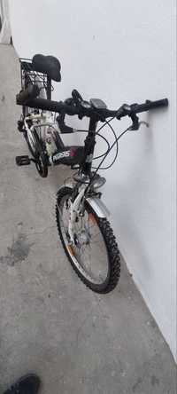 Vand bicicleta Pegasus 24”