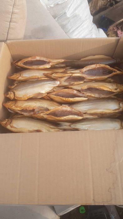 Пелядь копчёная качество отличное