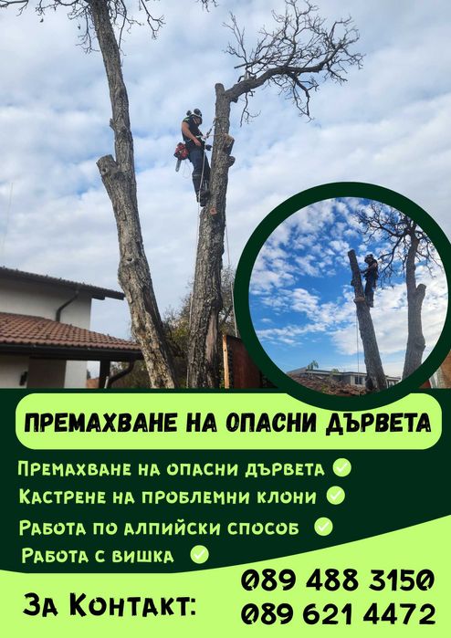 Рязане на Опасни Дървета
