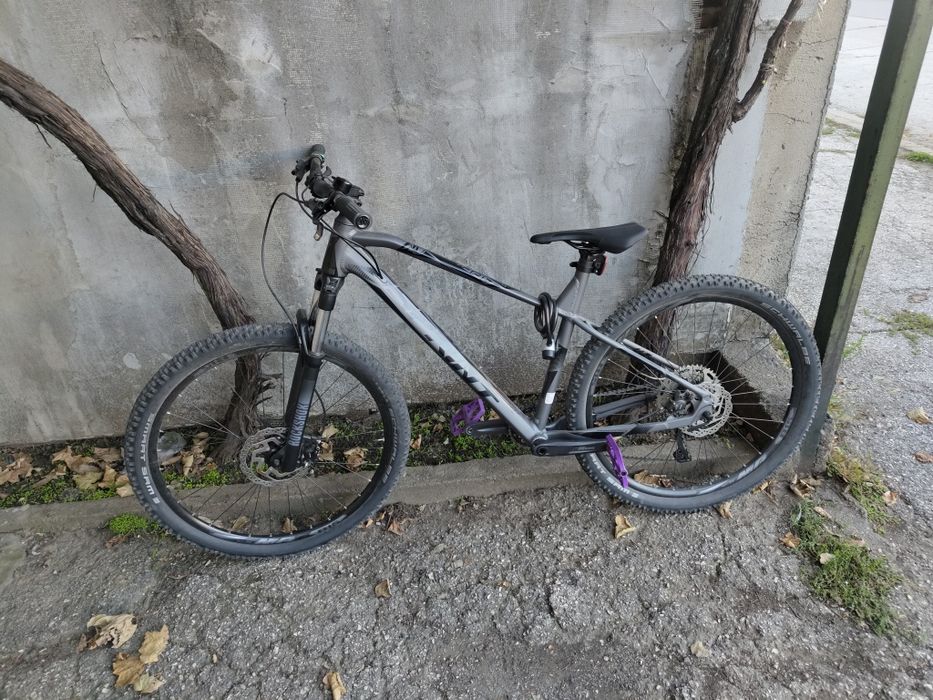 Sprint Apolon 27.5 customize