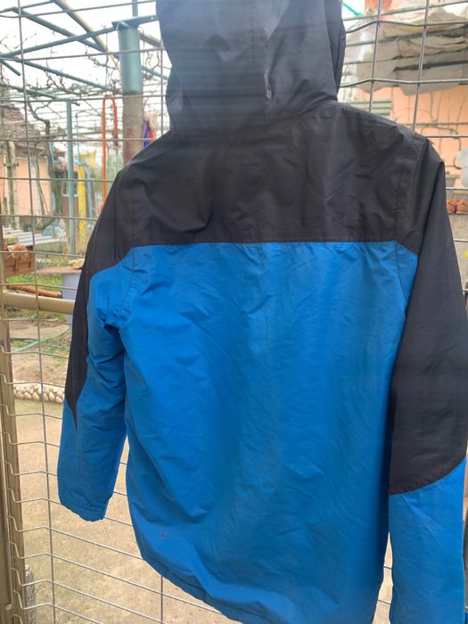 crane kids                .