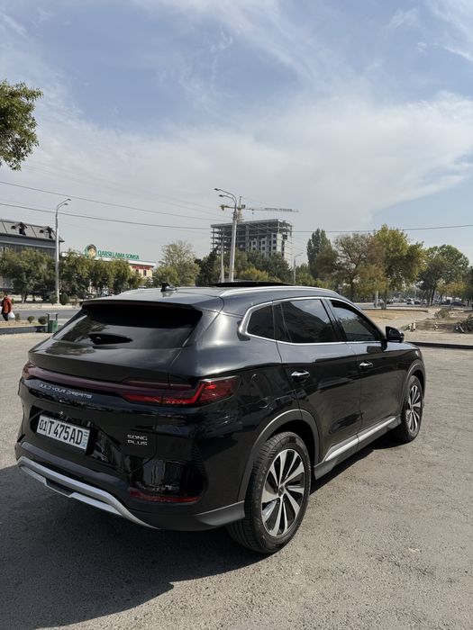Byd gibrid 2024