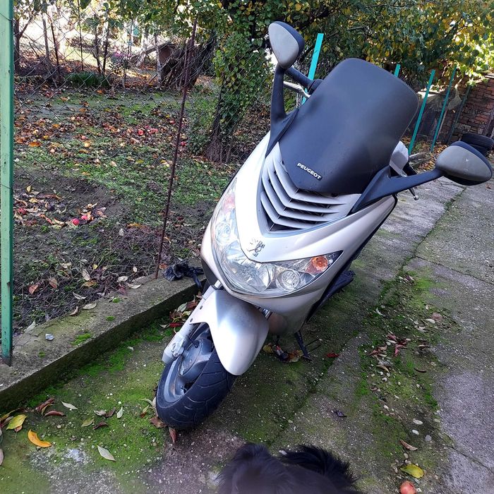 За части Пежо елистар