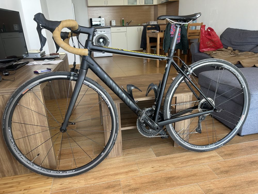 Canyon Endurace AL