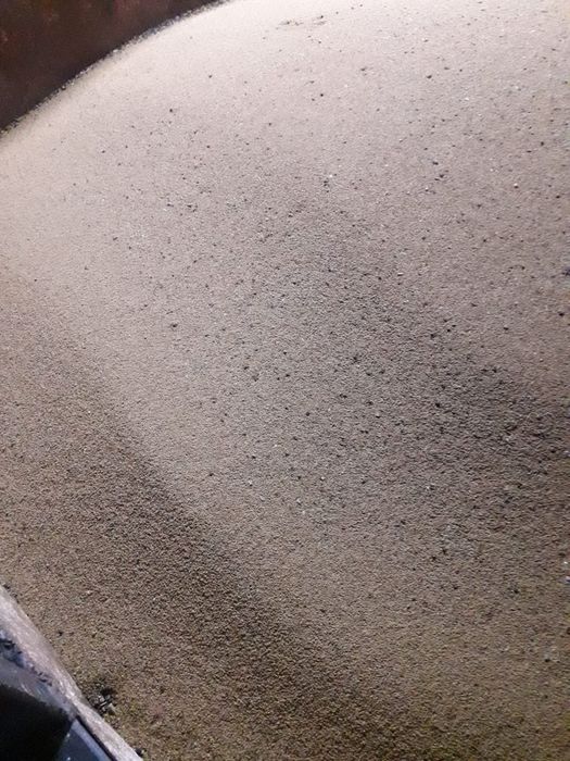 Vând sămânță lucernă