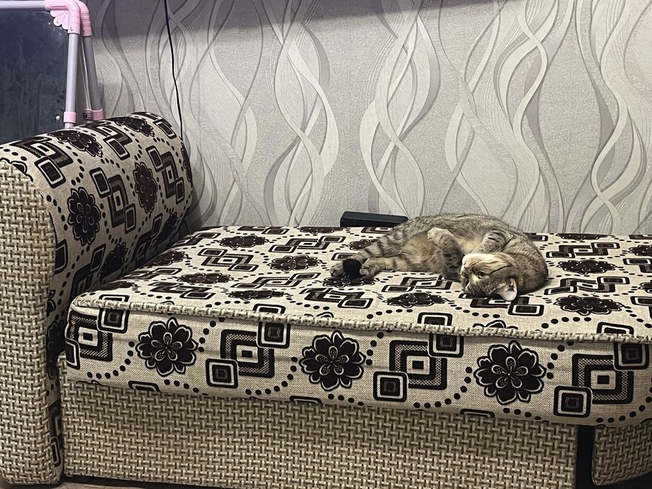 Продам мини диван