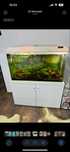 Acvariu 200 litri curbat