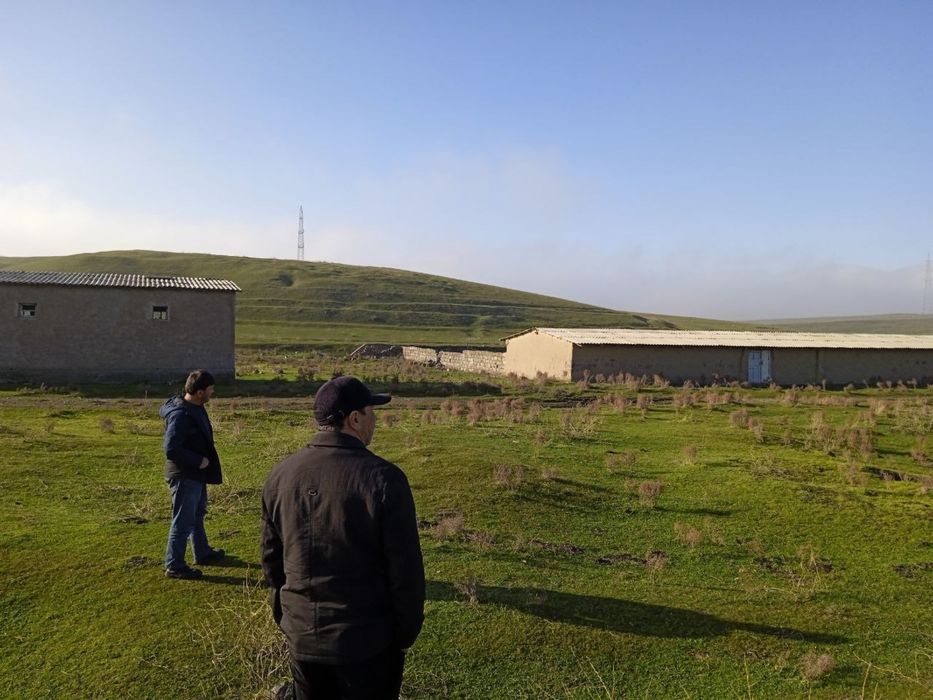Ferma, qo’ra, molxona. Qo’yxona