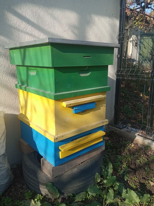 Пчелни кошери с магазини