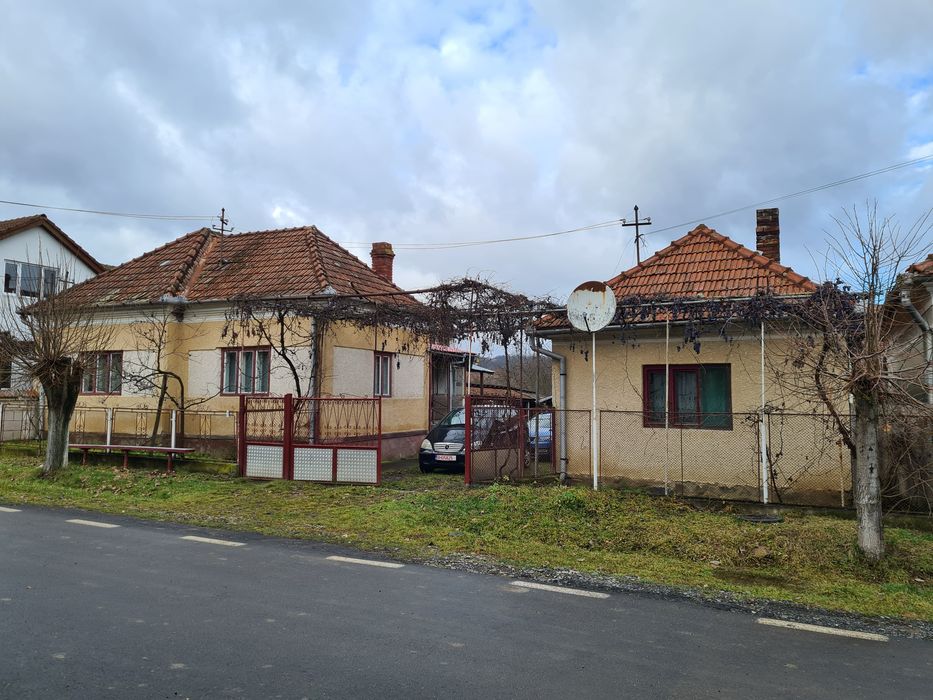 Vand casa cu gradina