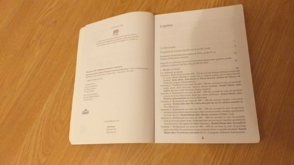 Teste Bacalaureat Limba si literatura romana