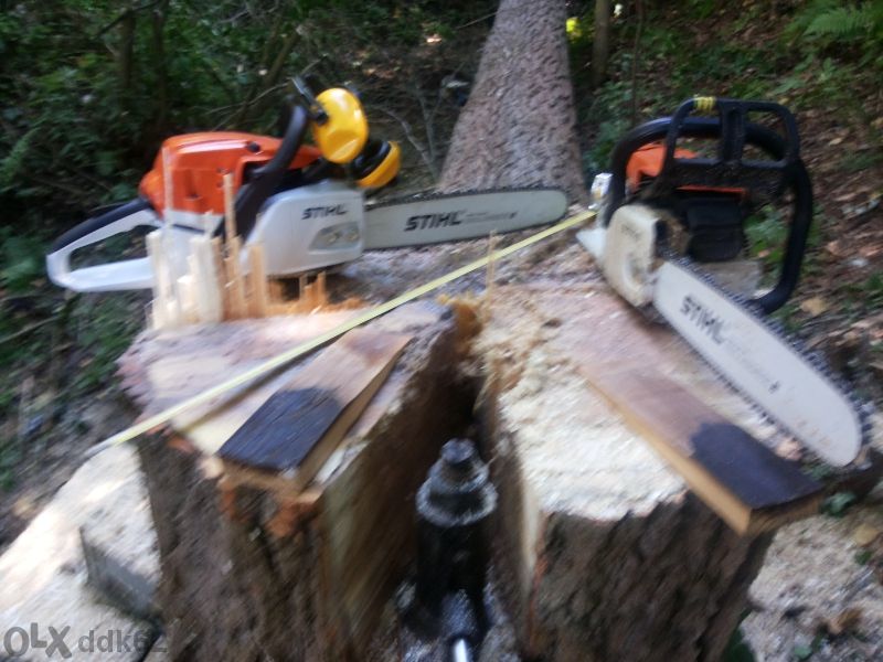 Професионално рязане на опасни дървета , поддръжка и оформяне