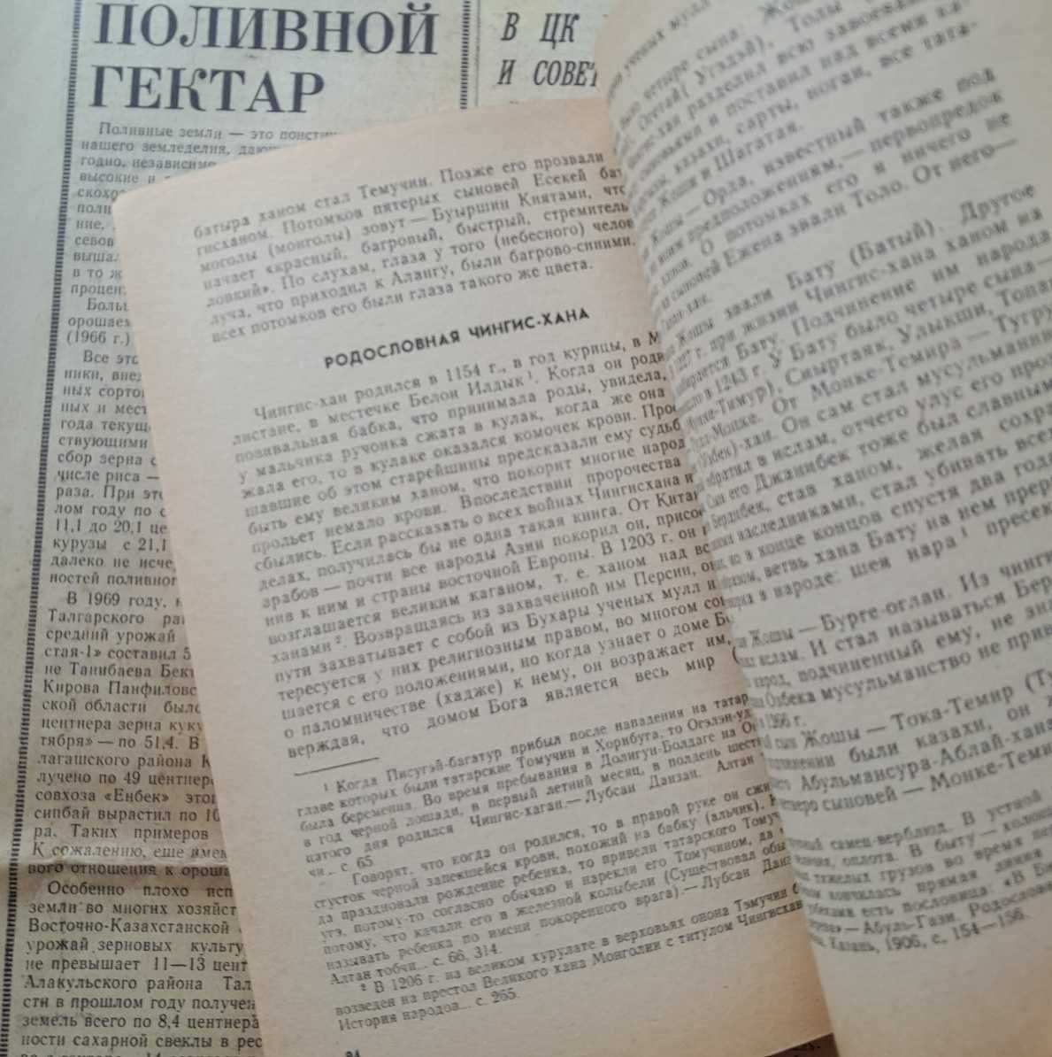 ЛЮКС! Казахская история. Родословная. Шакарим. Тюрки. Ханы. .