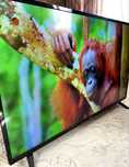 Телевизор Оригинал Филипс smart philips