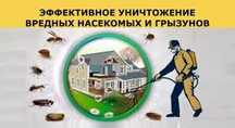 Дезинфекция с гарантией/дизенфекция dezinfeksiya dizenfeksiya