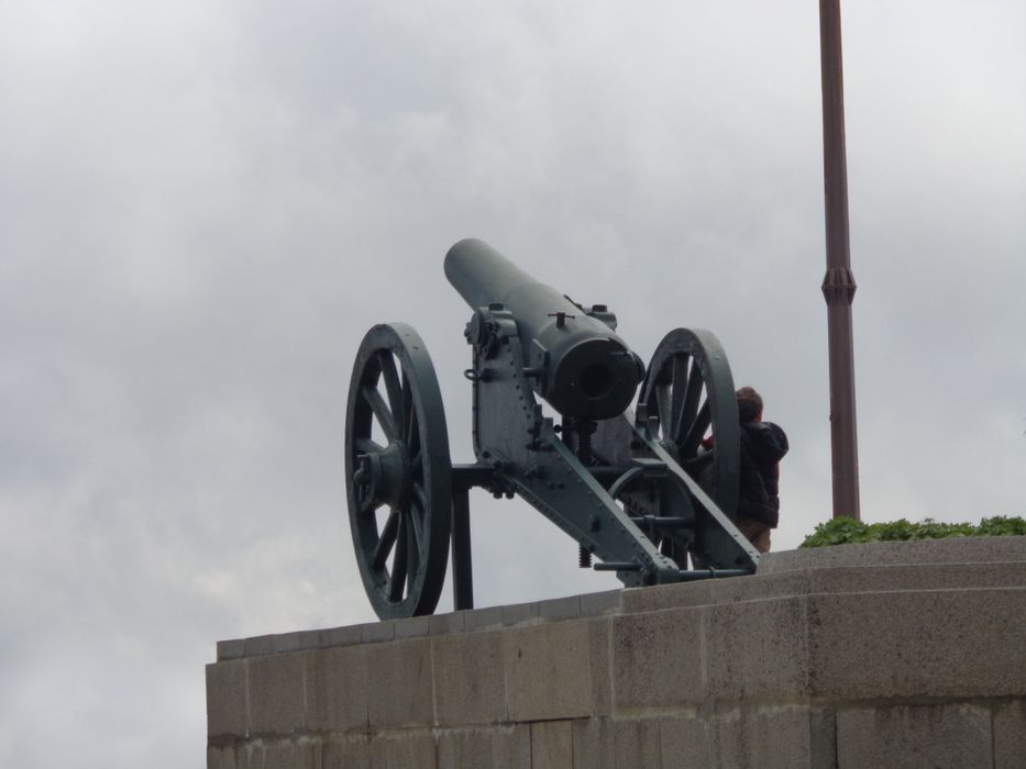 Фотоапарат Sony DSC-W730