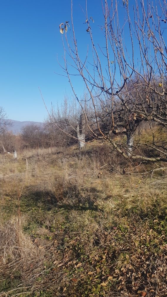 Продава се Парцел в с. Слокощица, Област Кюстендил - 2800 кв.м за 4 €/кв.м - Снимка #3
