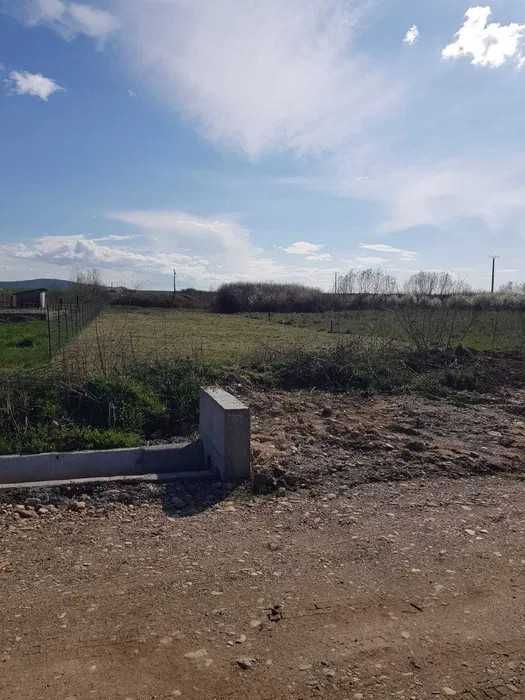 Teren intravilan Alparea 784 m²