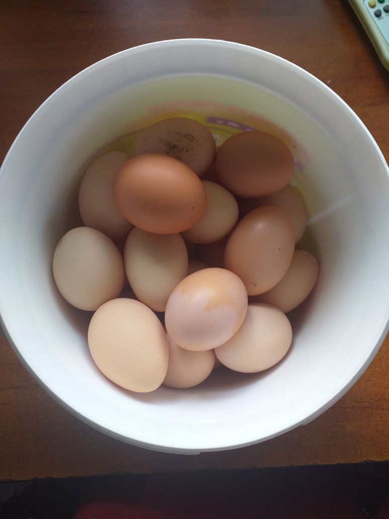 Vând ouă de casă bio,asigur transportul
