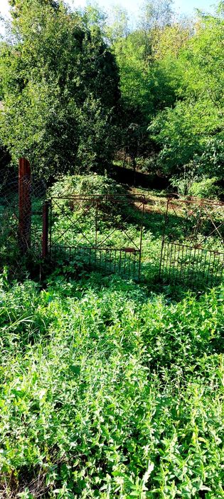 Vand teren Izvarna,Tismana,Gorj.